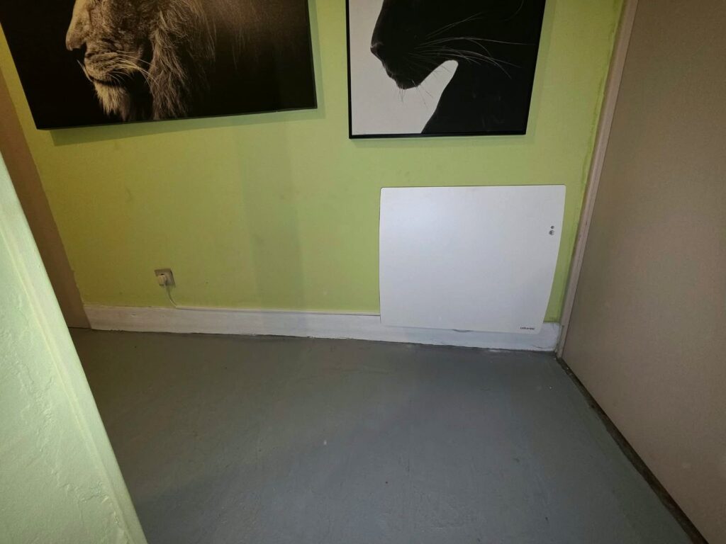 Radiateur électrique horizontal Atlantic Agilia+ posé au bas d'un mur vert