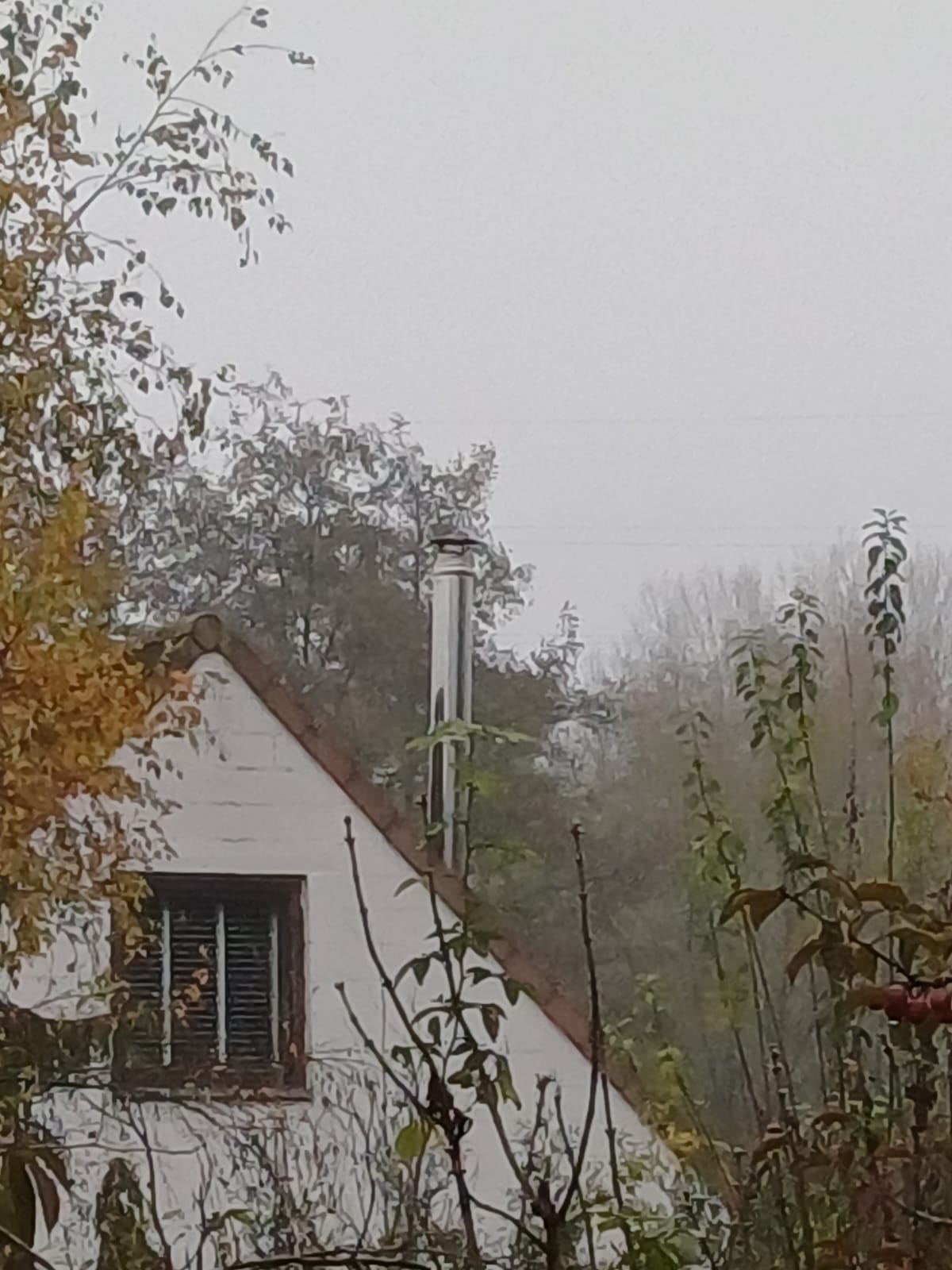 whatsapp image 2024 11 16 à 07.34.55 959b4e48