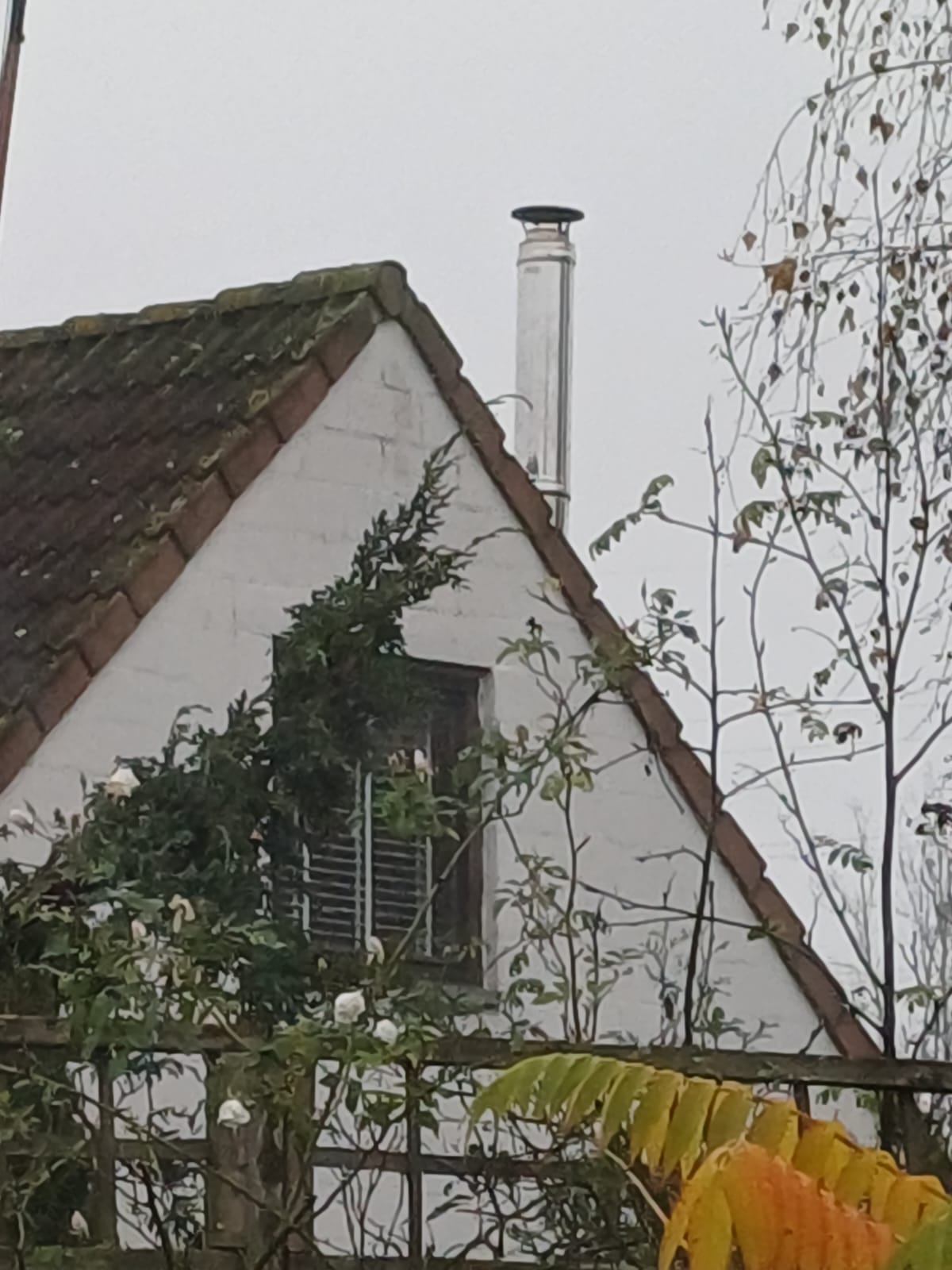 whatsapp image 2024 11 16 à 07.34.55 9f96e769