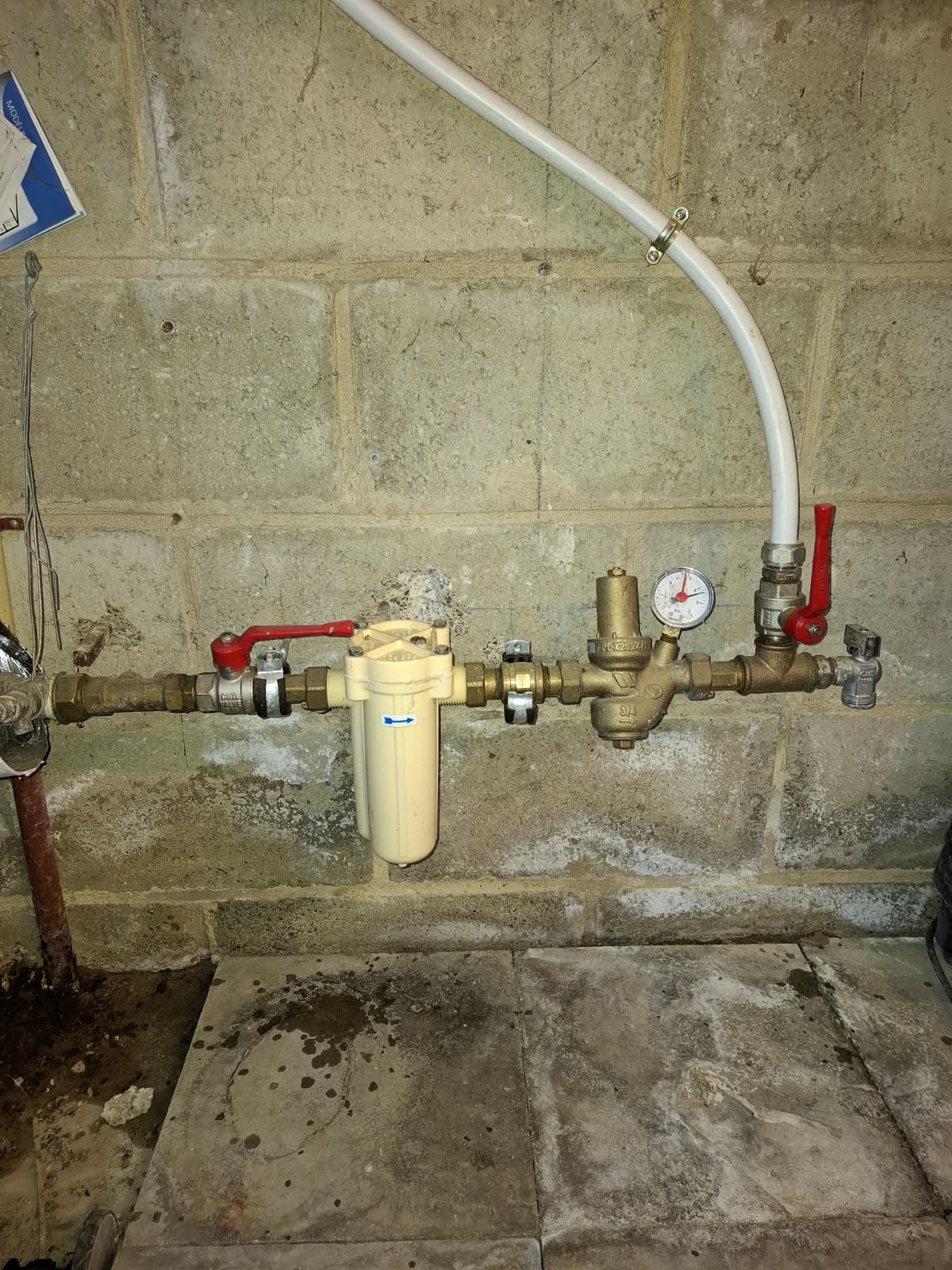 490700056 122164205384490695 1689618825546258757 n