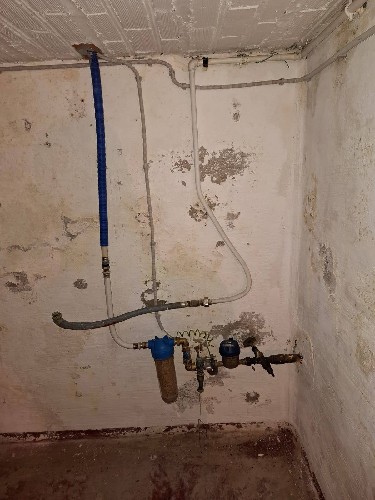 509341995 122175826700490695 6954246715864945705 n