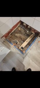 556663923 122192533472490695 2992805706300322836 n